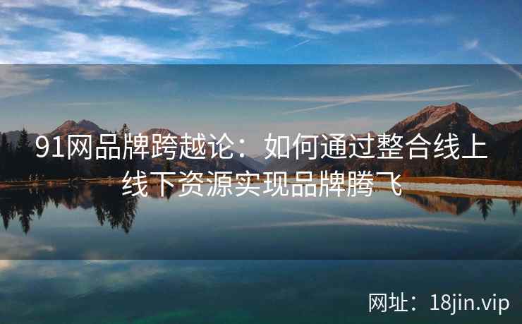 91网品牌跨越论：如何通过整合线上线下资源实现品牌腾飞