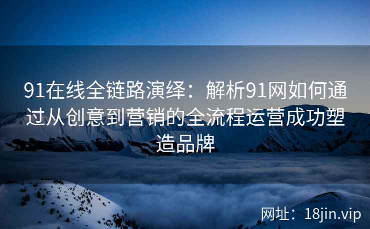 91在线全链路演绎：解析91网如何通过从创意到营销的全流程运营成功塑造品牌